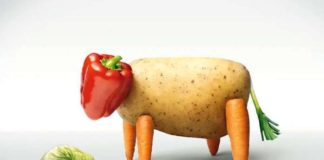 Moins de viande ? Le guide complet des protéines végétales indispensables