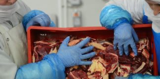 Pourquoi n’y a-t-il pas de boeuf dans certains plats préparés de… boeuf? Michael Miraglia et son équipe ont trouvé l’inquiétante réponse