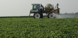 Dicamba : l’herbicide de l’apocalypse de Monsanto