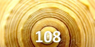 La qualité vibratoire de 108