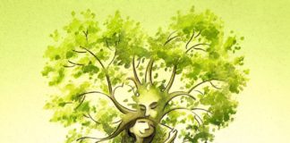 Bains de forêt : comment aller mieux en se reconnectant à la nature