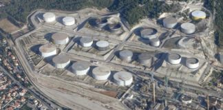 La France fait le choix de l’huile de palme malgré l’interdiction du Parlement européen