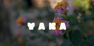 Ces communautés en harmonie avec le monde et la nature