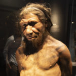 http o.aolcdn.com hss storage midas a3acb73001b803879c3995887f2e6fbd 206374662 neanderthal man at the human evolution exhibit at the natural history picture id951044058