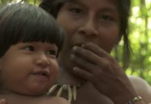 Ces communautés locales qui restaurent nos forêts