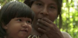 Ces communautés locales qui restaurent nos forêts