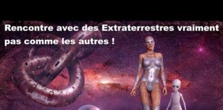 Rencontre avec des Extraterrestres vraiment pas comme les autres