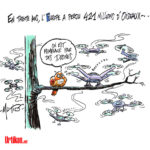 141103 oiseaux drones mutio