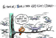 Drone oiseau : la liberté bat de l’aile ?