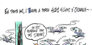 Drone oiseau : la liberté bat de l’aile ?