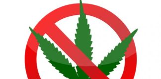 L’état français 1° importateur de cannabis.