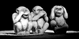 L’arrogance de l’ignorance