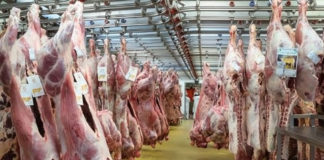 110 000 tonnes de viande aux hormones importées en France chaque année ! (Vidéo)
