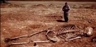 La réalité des squelettes humanoïdes géants et la suppression de l’histoire