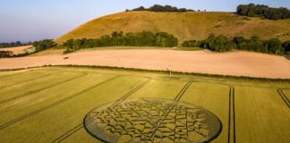 Nouveau crop circle du 7 Juillet 2018