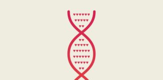 Cette application promet de trouver votre âme sœur en fonction de son ADN