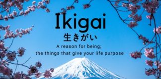 Trouver son « ikigaï » personnel : la course au bonheur total ?