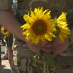 Proclamation de Paix a tous les Peuples de la Terre