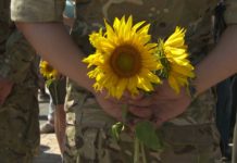 Proclamation de Paix à tous les Peuples de la Terre