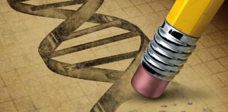 Projet Recode, réécrire le génome humain