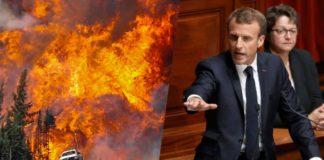 5 infos que vous avez manquées pendant la Coupe du Monde…