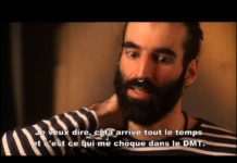 DMT La Molecule de l’esprit 2010 VOstFR