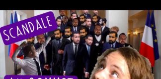 Benalla – Scandale Macron, Scandale d’État