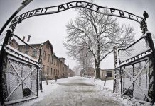 Monsanto-Bayer… “Quand Bayer achetait des lots de femmes à Auschwitz” ?
