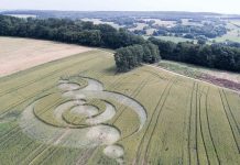 Fake crop circle : la zététique démontre l’intrusion d’une intelligence externe dans la conception de leur crop.