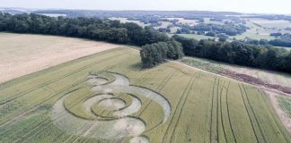 Fake crop circle : la zététique démontre l’intrusion d’une intelligence externe dans la conception de leur crop.