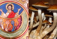 Jésus et le Chamanisme – Ce que l’on ne nous a pas dit au sujet des champignons…