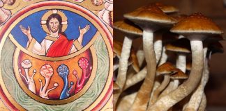 Jésus et le Chamanisme – Ce que l’on ne nous a pas dit au sujet des champignons…