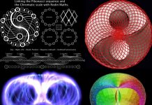 Les champs de torsion