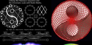 Les champs de torsion