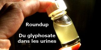 Ariège: Ils retrouvent 14 fois la dose autorisée de glyphosate dans leurs urines et portent plainte