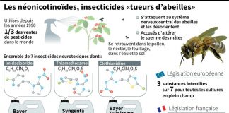 Les néonicotinoïdes désormais interdits en France