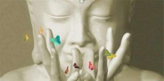 140 citations de Bouddha