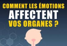 Comment les émotions affectent vos organes ?