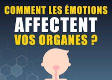 Comment les émotions affectent vos organes ?