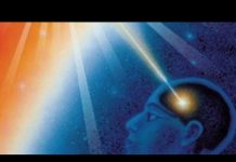 Semence d’étoile – L’esprit du Vivant