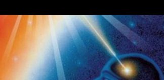 Semence d’étoile – L’esprit du Vivant