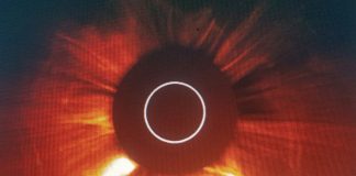 Dernières images du Soleil envoyées par Kerry Cassidy