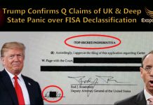 Trump confirme les revendications Q et la panique de la Cabale sur la déclassification de la FISA