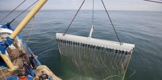 Scandale au Parlement européen. La pèche électrique en petit comité…