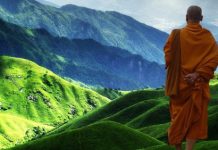 Les 5 tibétains : secrets de jeunesse