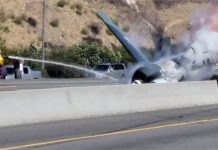 États-Unis. Un avion aux couleurs nazies se crashe sur une autoroute