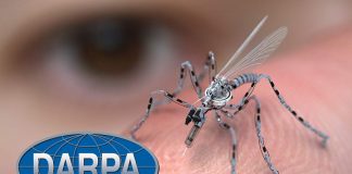 L’armée d’insectes du Pentagone…