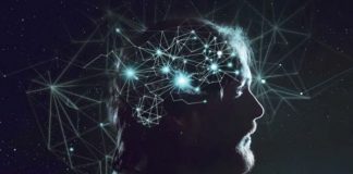 Des scientifiques affirment que notre cerveau serait multidimensionnel