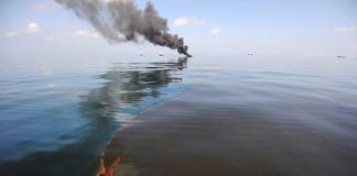 Marée noire | Oil spill : pendant 14 ans, une fuite massive de pétrole cachée au public s’est poursuivie sans aucune intervention