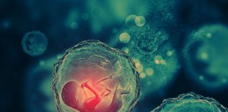 En Chine, un scientifique aurait fait naître les premiers bébés génétiquement modifiés